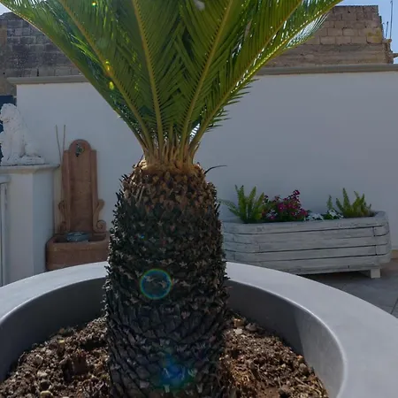 Corleone Guesthouse Corleone