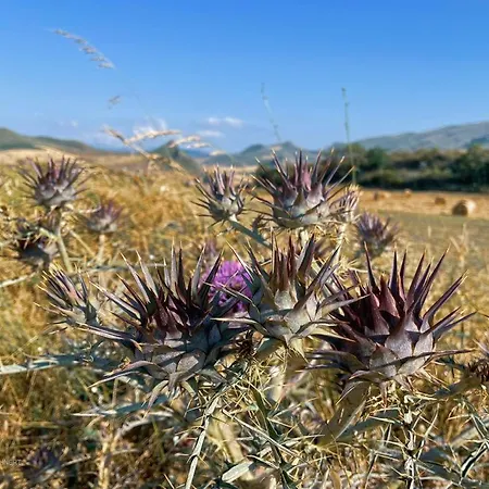 Bed & Breakfast Corleone Guesthouse